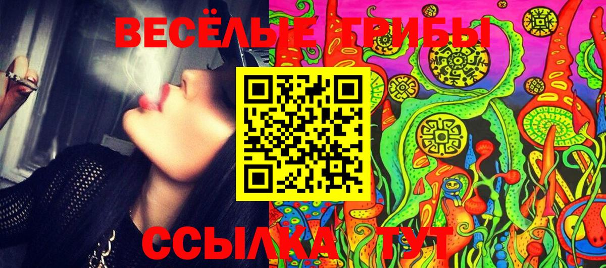 Псилоцибиновые грибы прущие грибы  Вход с VPN  Галлюциногенные грибы GOLDEN TEACHER  Ангарск 